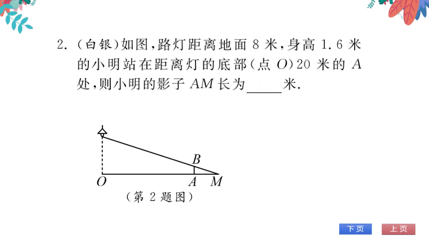 【华师大版】数学九年级上册 23.3.4 相似三角形的应用 习题课件