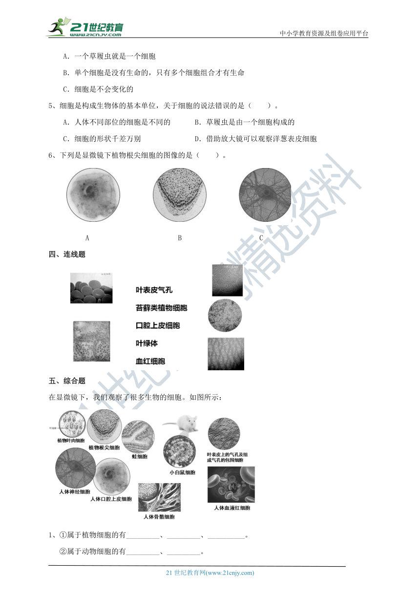 1.5《观察更多的生物细胞》练习（含答案）