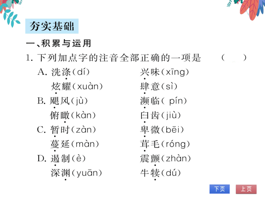 【统编版】语文八年级上册 16.散文二篇 习题课件