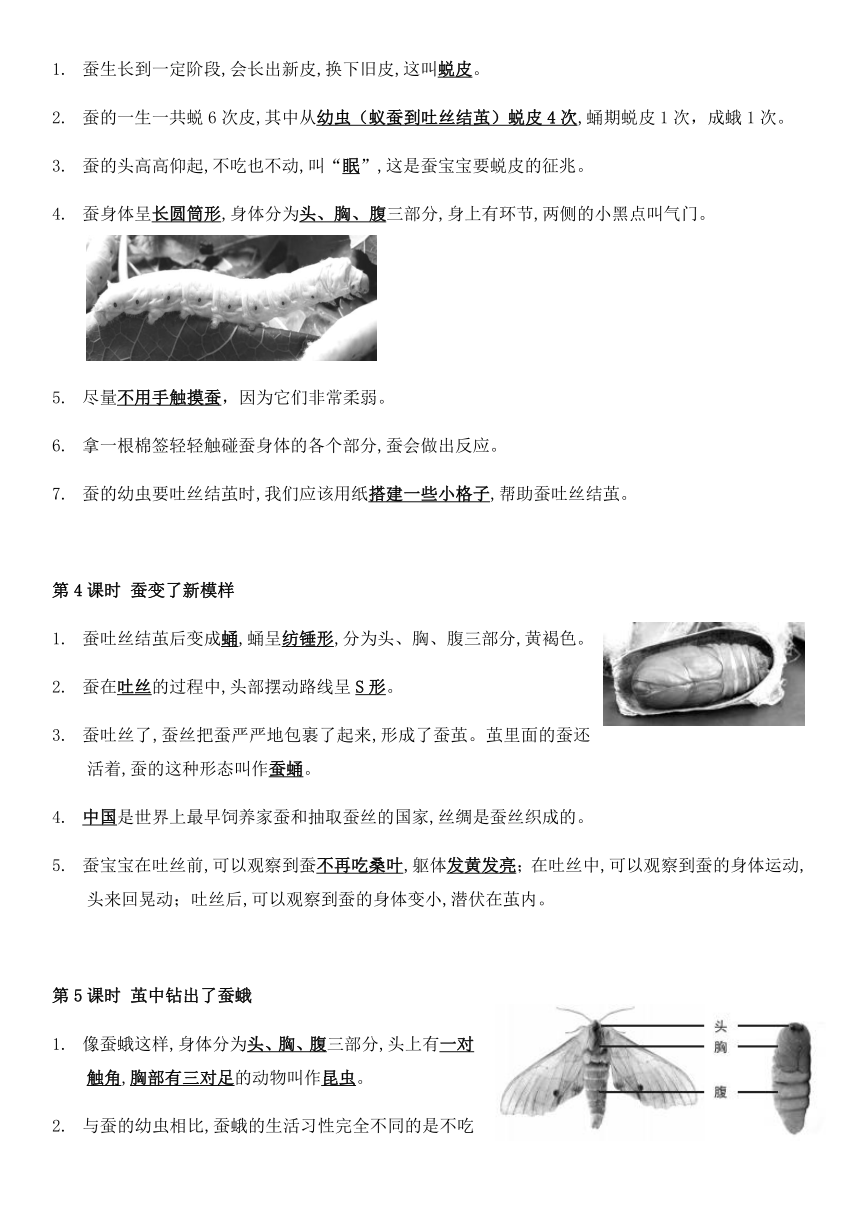 教科版（2017秋）三年级下册科学全册知识点复习