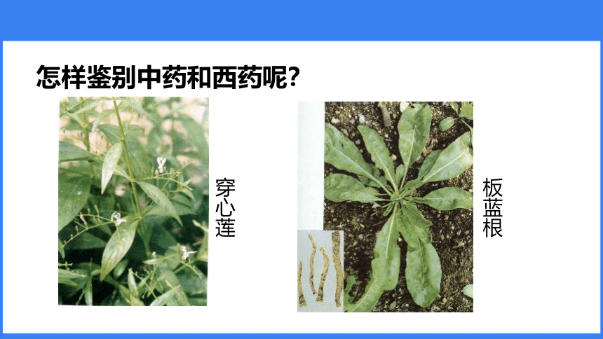 人教版八年级下册生物课件第八单元第二章 用药与急救（30张PPT）