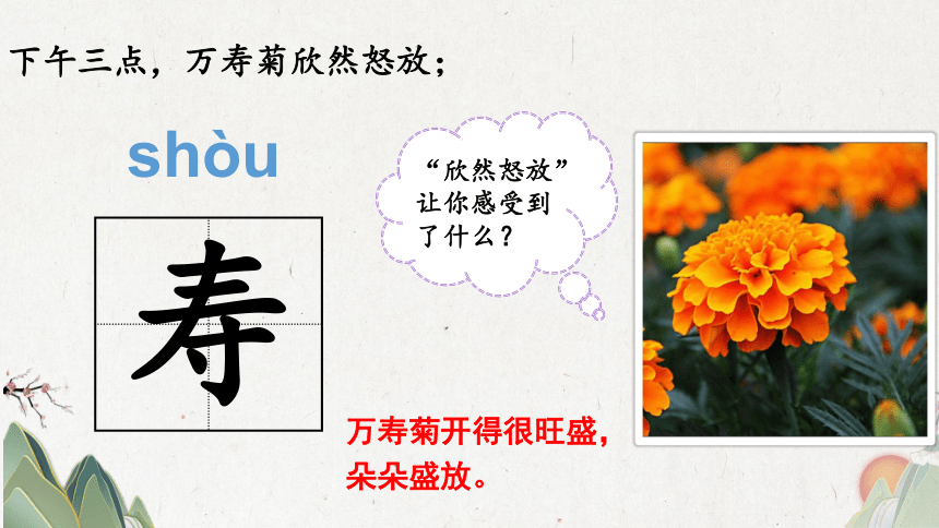 13 花钟 第一课时（课件） (共40张PPT)