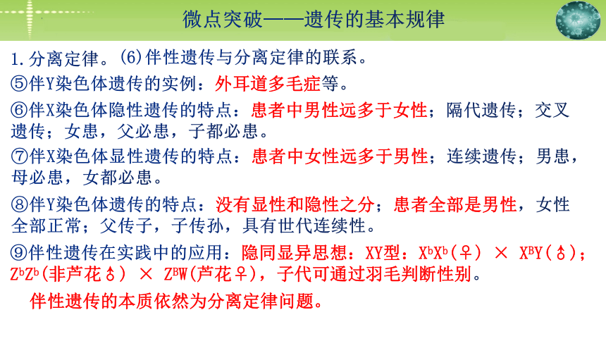 2024届高三生物二轮复习：微点突破 遗传的基本规律(共35张PPT)课件