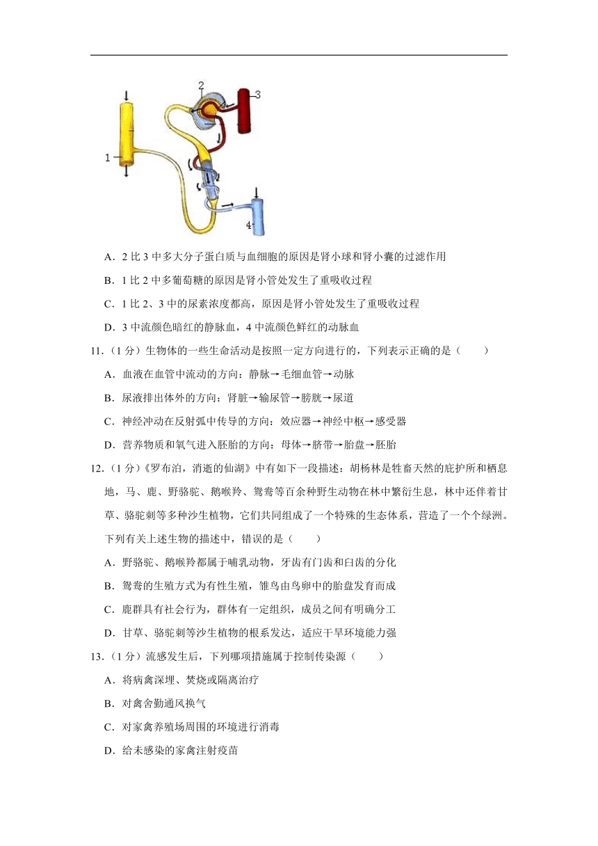 2022初中生物学业水平狂练测试卷（六）（word版含答案）