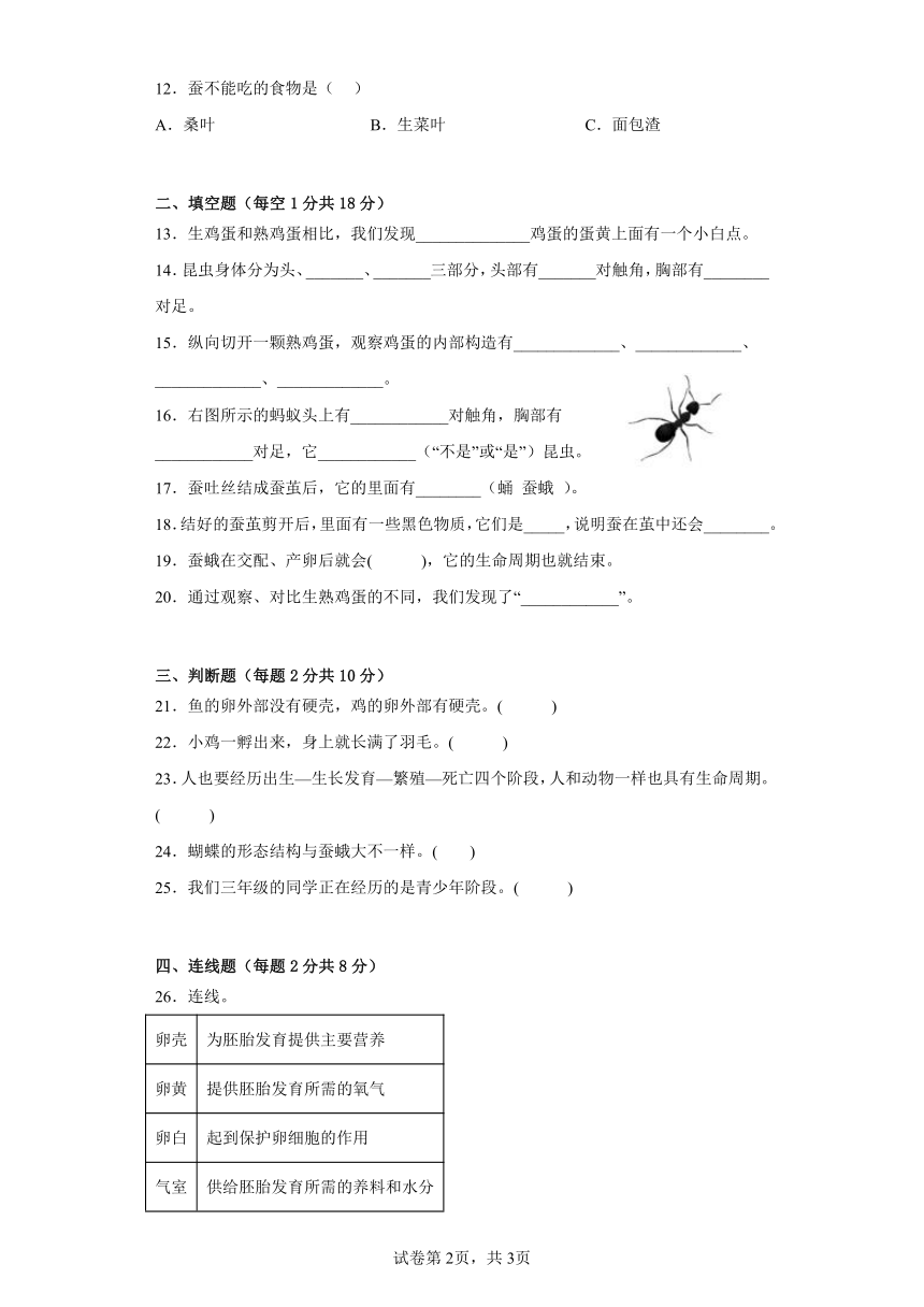 教科版三年级科学下册第二单元过关卷动物的一生（三）（附答案）