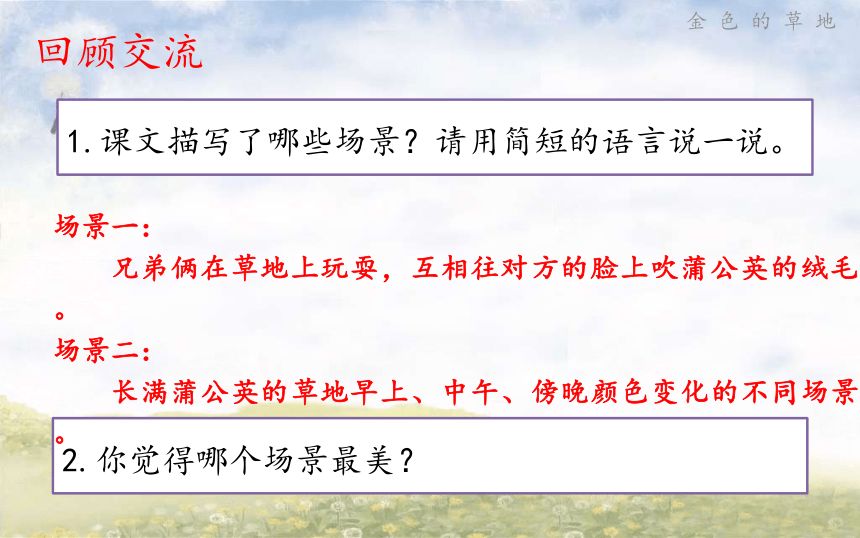 16金色的草地 第二课时（课件）(共22张PPT)