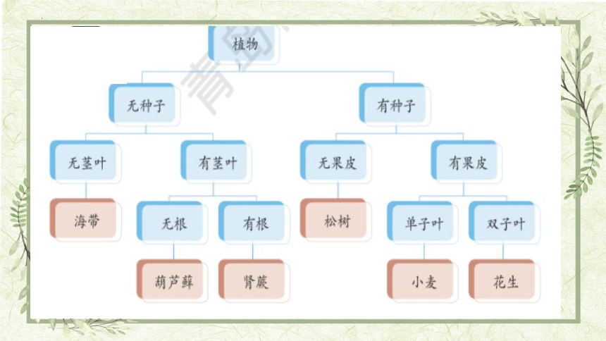 青岛版（六三制2017秋）科学六年级下册2.7  动物行为与环境变化  课件 (共15张PPT)