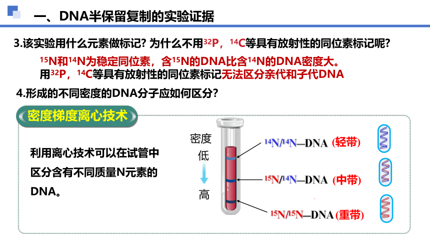 3.3  DNA的复制课件(共33张PPT2份视频)-人教版必修2