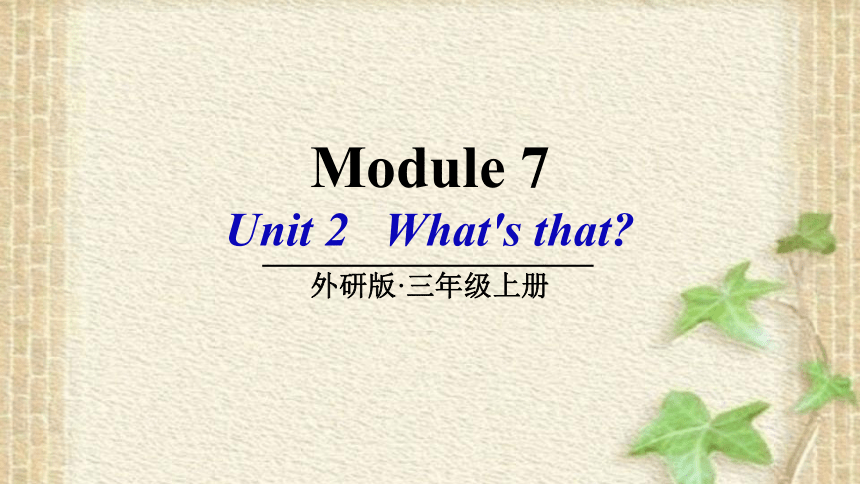 Module 7 Unit 2 What's that？课件(共23张PPT)