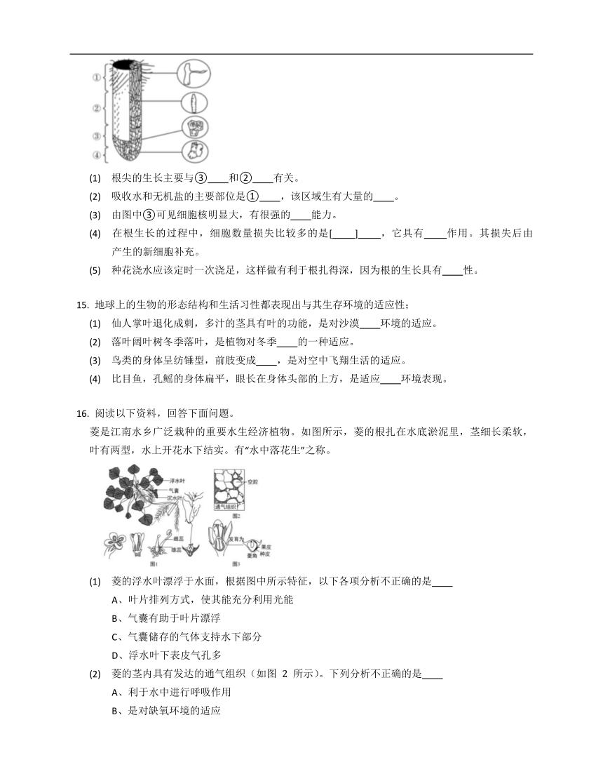 北京版八年级下14.2生物对环境的适应和影响同步练习（含答案）