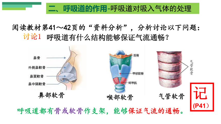 4.3.1呼吸道对空气的处理课件 (共24张PPT)人教版生物七年级下册