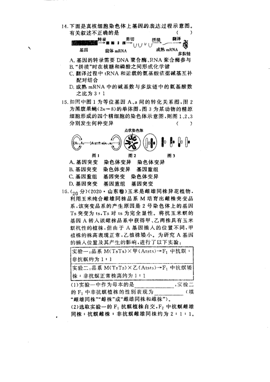 山东省菏泽市部分高中2020-2021学年高一下学期6月月考生物试题 扫描版含答案