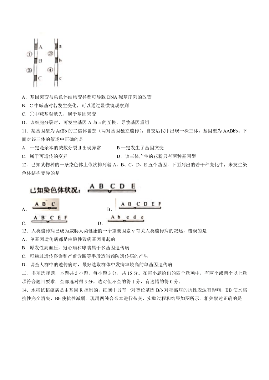 河北省曲阳县2020-2021学年高一下学期第四次检测（6月月考）生物试题 Word版含答案