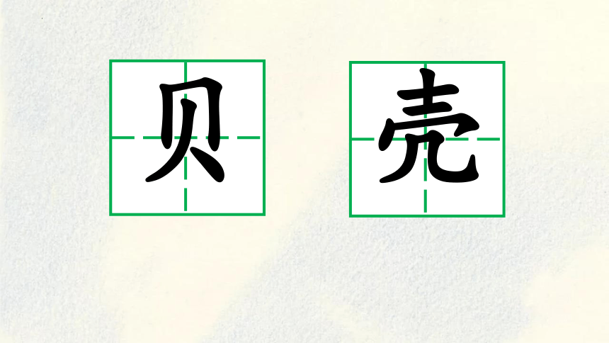 3 “贝”的故事 （课件）(共22张PPT)