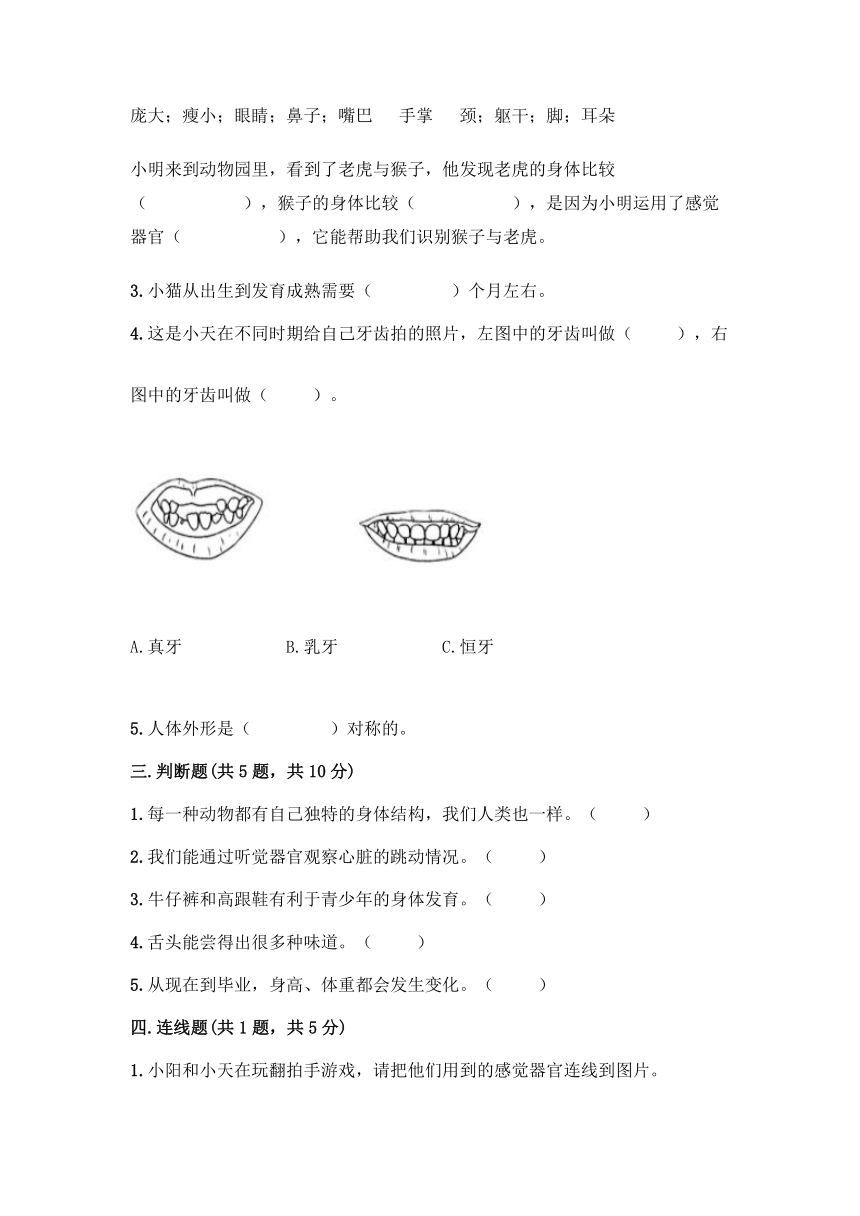 教科版（2017秋）科学二年级下册第二单元《我们自己》测试卷（含答案）