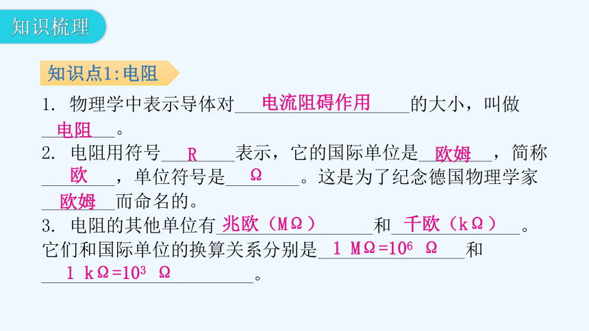 沪粤版九年级上册物理 14.1  怎样认识电阻  第1课时认识电阻 习题课件(共28张PPT)