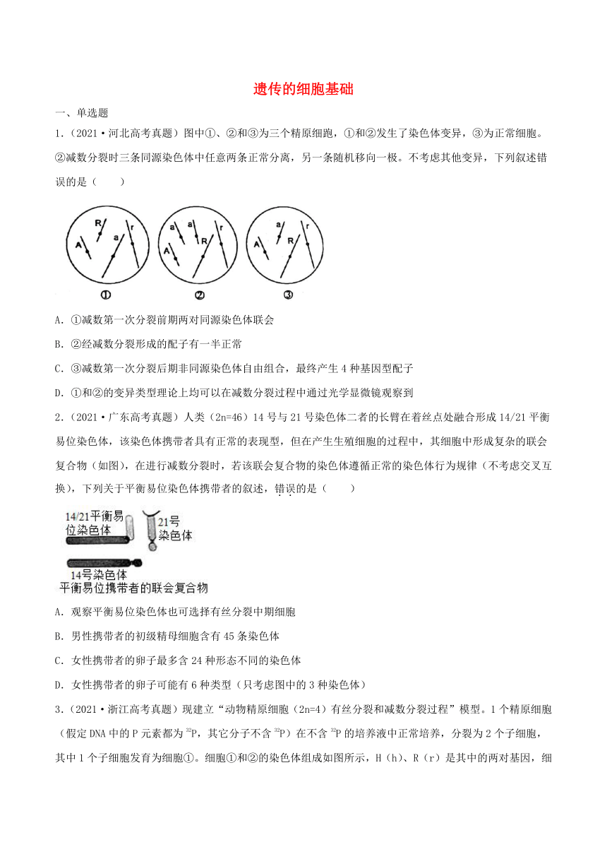 2022年高考生物三年高考真题及模拟题分类汇编：遗传的细胞基础（Word版含解析）