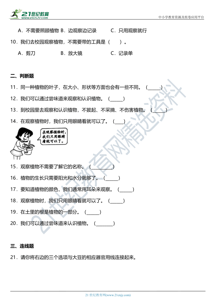 2021年科教版小学科学一年级上册1.2《观察一棵植物》同步练习题（含答案）