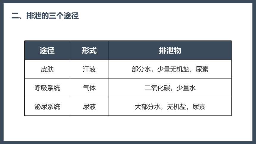 第五章 人体内废物的排出 课件（27张PPT）