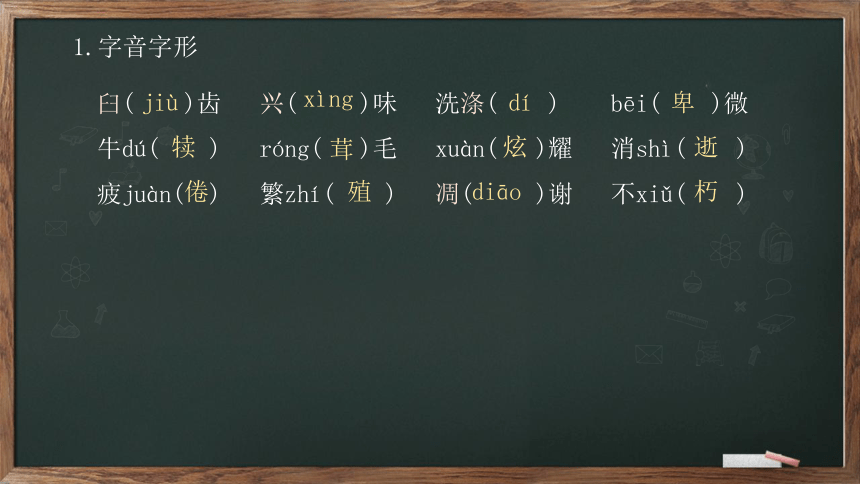 16《永久的生命》课件(共16张PPT)