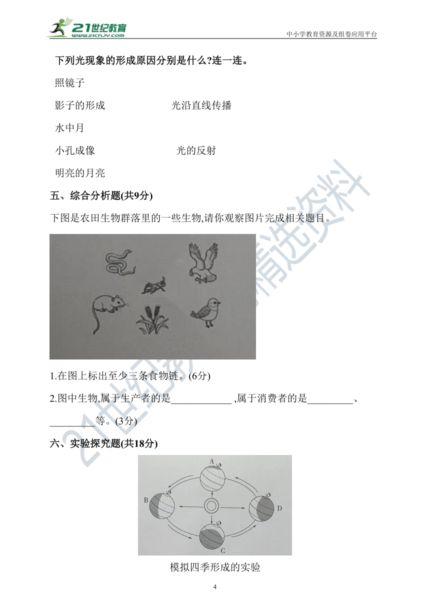 新大象版科学五年级下册期末测试卷（一）（含答案）