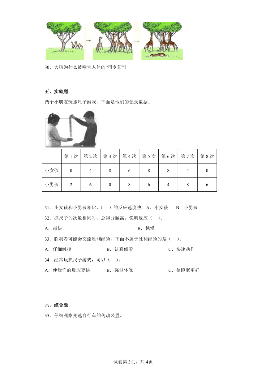 粤教版（2017秋）六年级上册科学期末综合测试A卷含答案