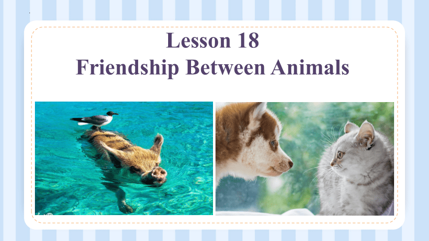 Lesson 18 Friendship Between Animals 课件(共15张PPT)