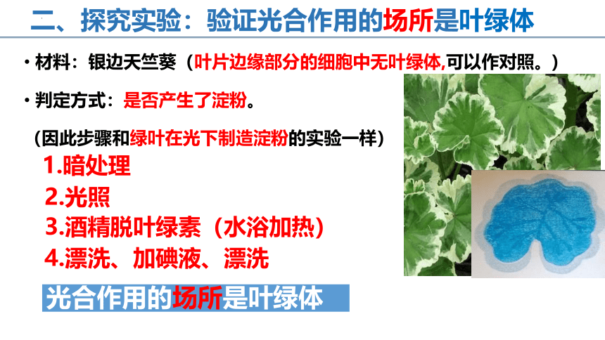 2022-2023学年人教版七年级生物上册 3.4 绿色植物是生物圈中有机物的制造者 课件  (共32张PPT)