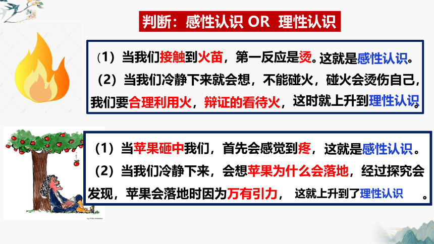 高中政治统编版选择性必修三1.1思维的含义与特征（共24张ppt+1个内嵌视频）