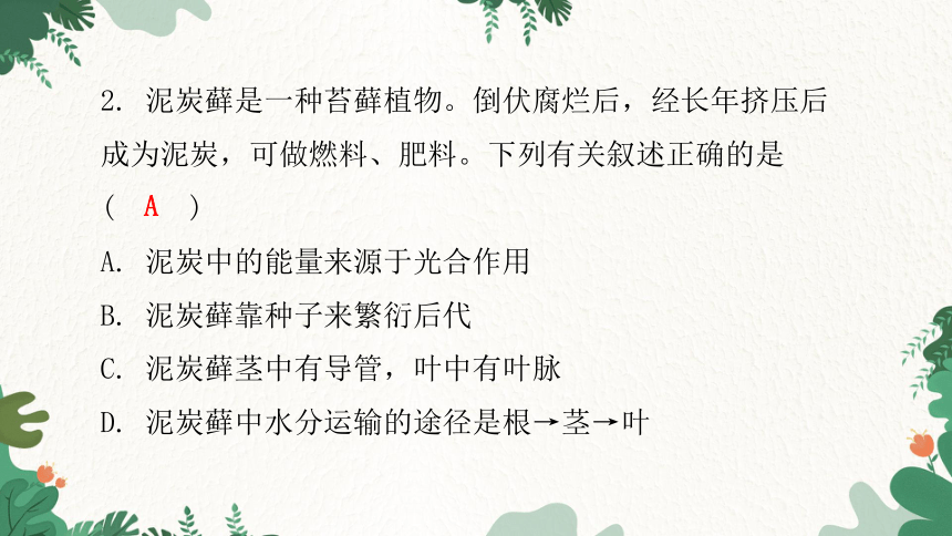 人教版生物七年级上册 第三单元生物圈中的绿色植物水平测试卷习题课件(共44张PPT)