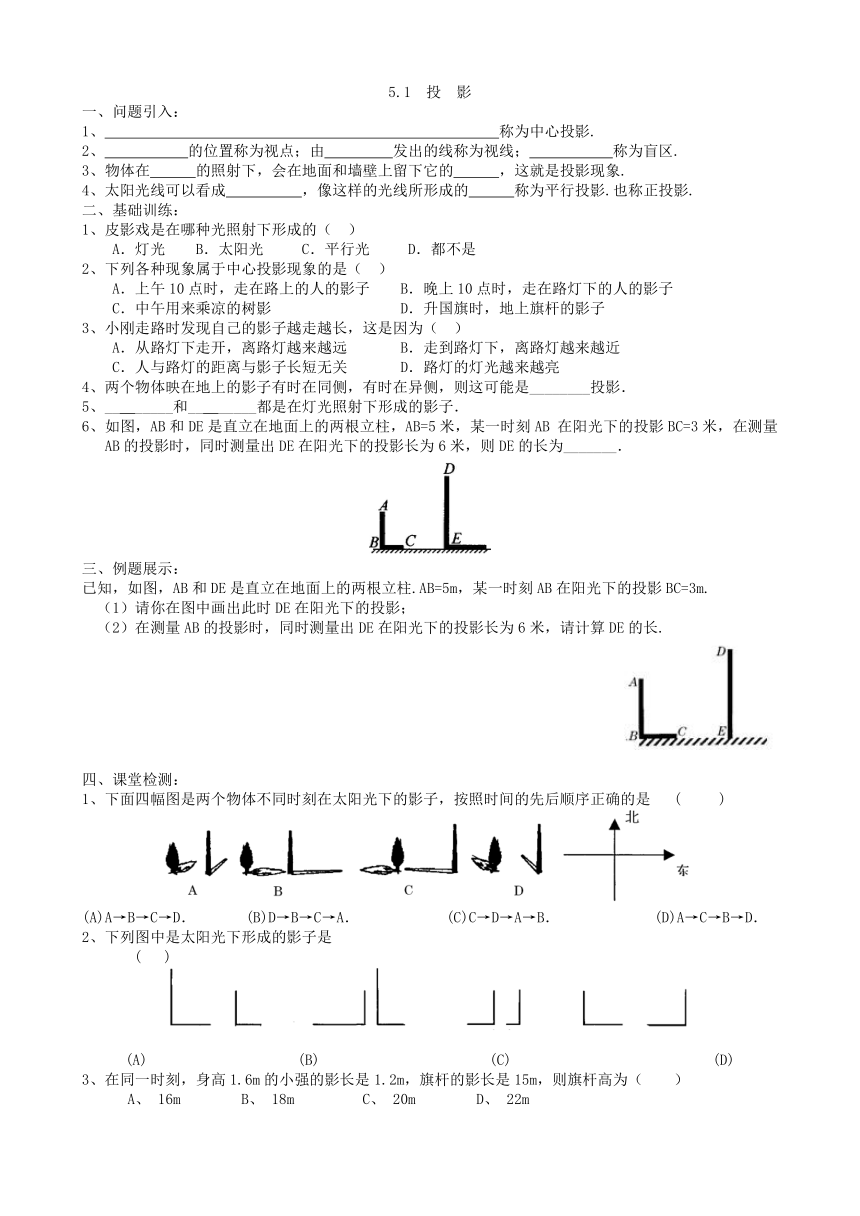 北师大版数学九年级上册 5.1 投 影学案（无答案）