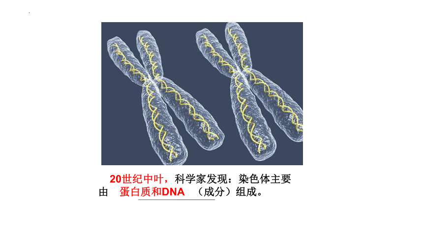 3.1DNA是主要遗传物质课件-(共41张PPT2份视频)人教版必修2