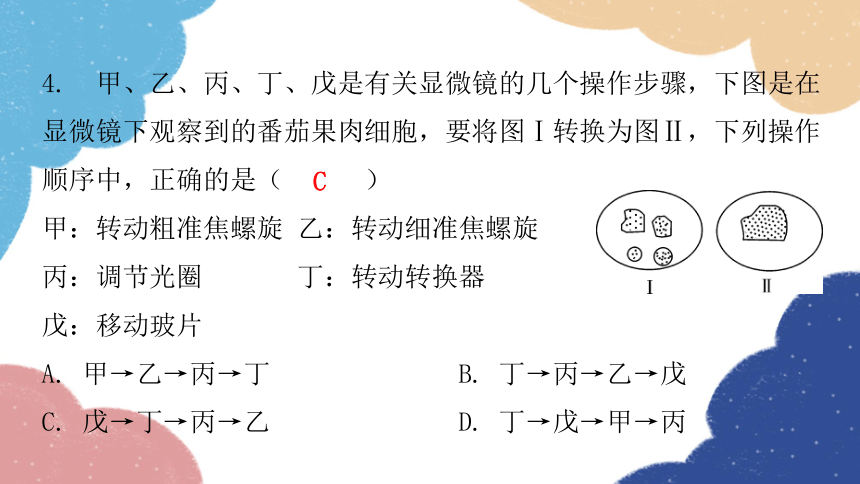 人教版生物七年级上册 第二单元过关训练课件（共46张PPT）