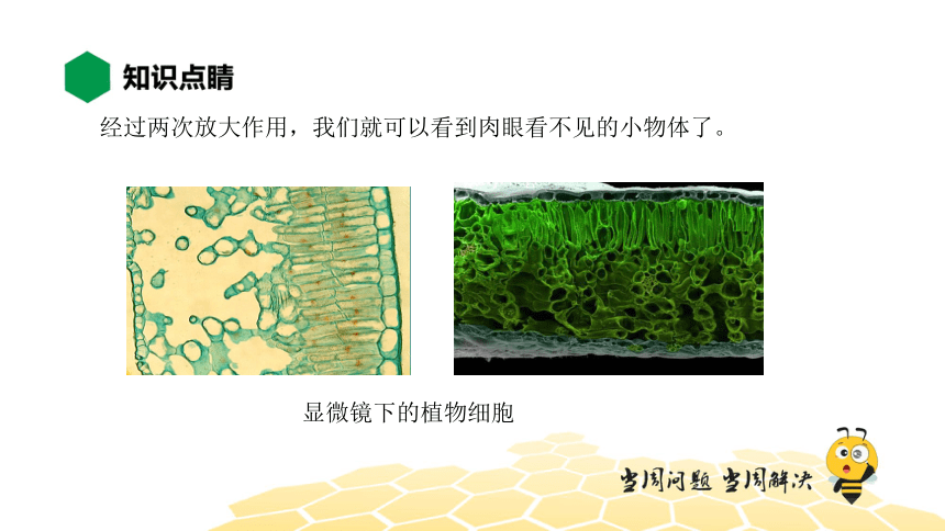 物理八年级-5.5【知识精讲】显微镜和望远镜（22张PPT）