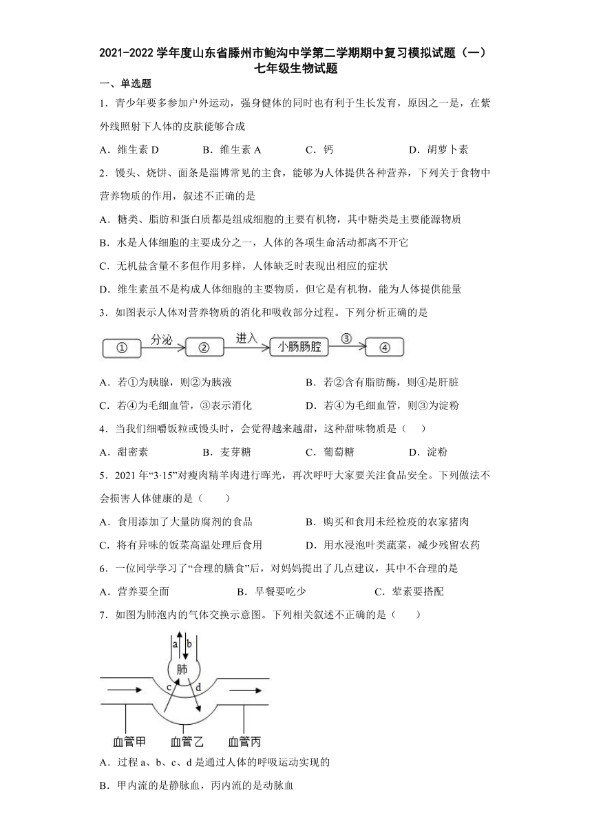 山东省滕州市鲍沟中学2021-2022学年下学期七年级期中复习生物模拟试题（word版，含答案）