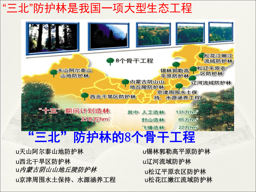 7.3我国的绿色生态工程课件(共37张PPT)