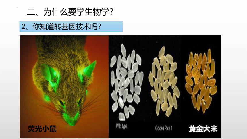 致同学们----开学第一课课件(共22张PPT) 人教版生物七年级上册