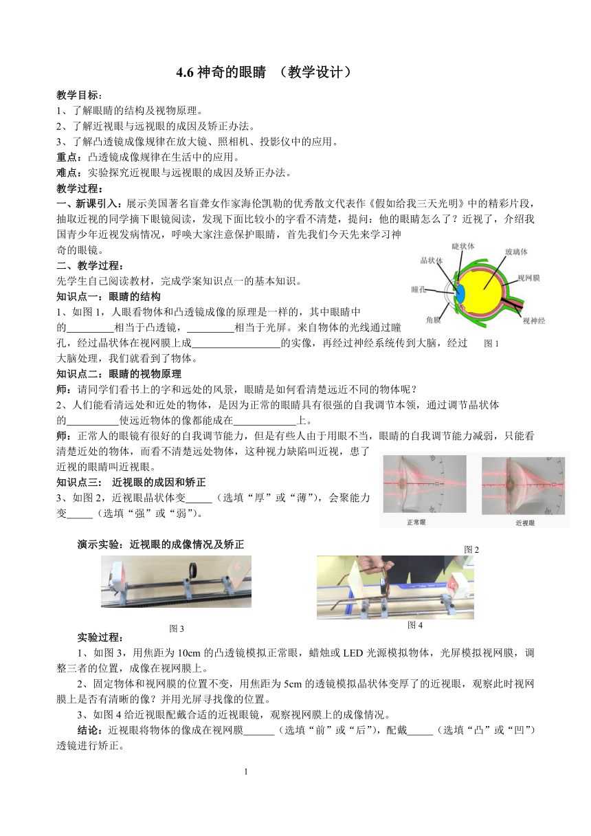 沪科版八年级物理 4.6神奇的眼睛 教案