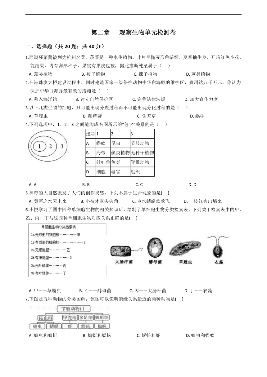 浙教版科学 七年级上册 第二章 观察生物 单元检测卷（含答案）