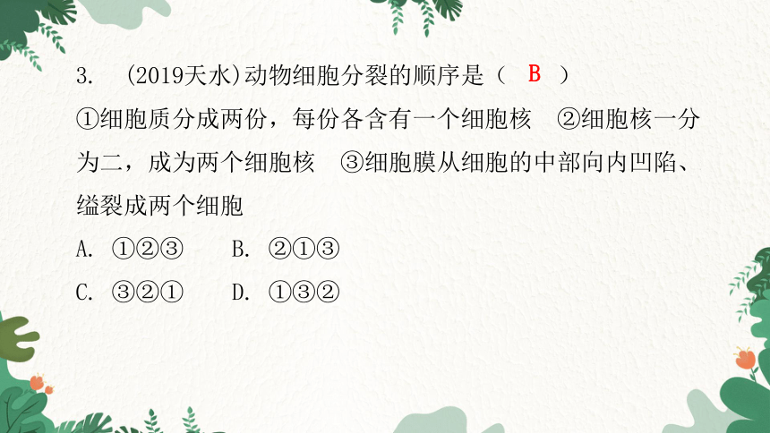 人教版生物七年级上册 第二单元生物体的结构层次章末总结第二章 细胞怎样构成生物体习题课件（共32张PPT）