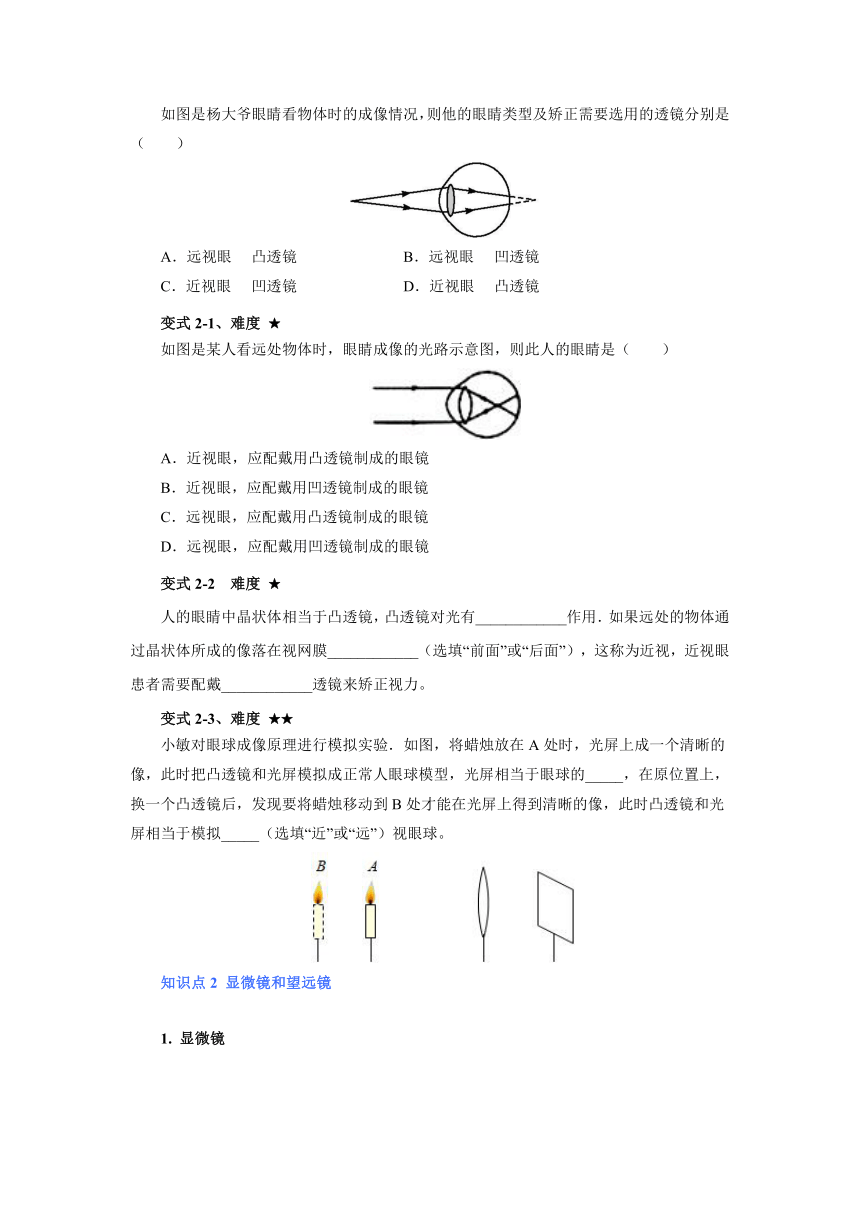 人教版八年级物理上册 _《眼睛与显微镜》 期末复习 学案（无答案）