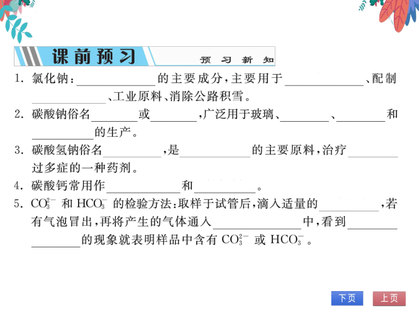 【人教版】化学九年级下册-第十一单元 课题1 第1课时 几种常见的盐 (习题课件)