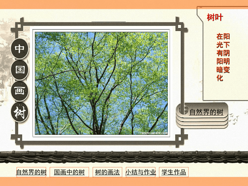 辽海版  第3课 多姿多彩的树 课件（26张PPT）