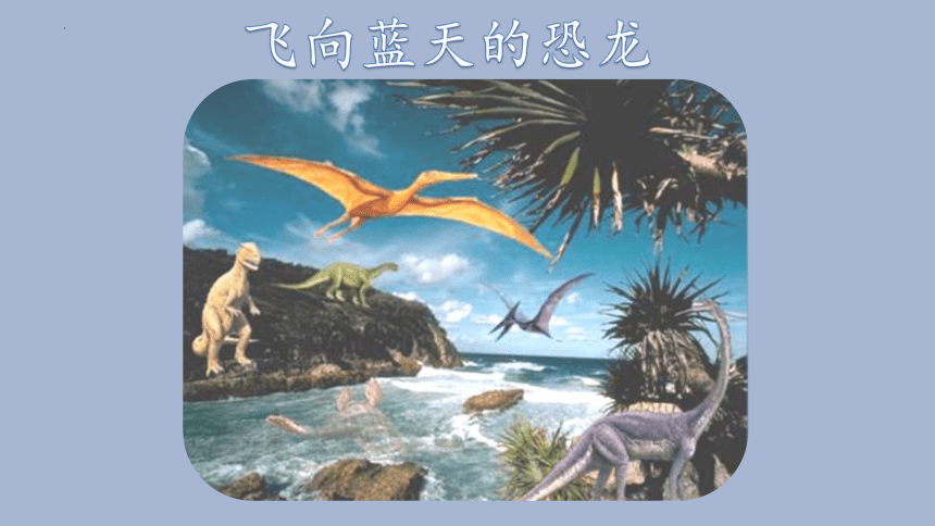 6飞向蓝天的恐龙  课件(共23张PPT)