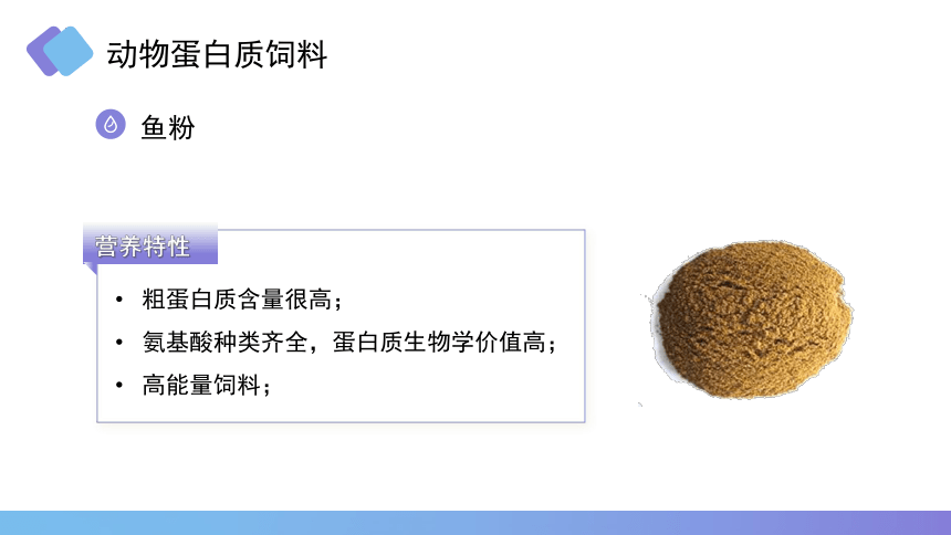 2.6蛋白质饲料 课件(共16张PPT)《畜禽营养与饲料》同步教学（高教版第二版）