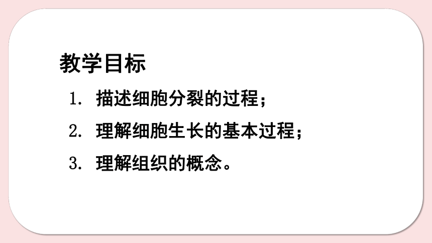 8.2 细胞的分裂和分化（第1课时）课件(共45张PPT)七年级下册生物（苏科版）