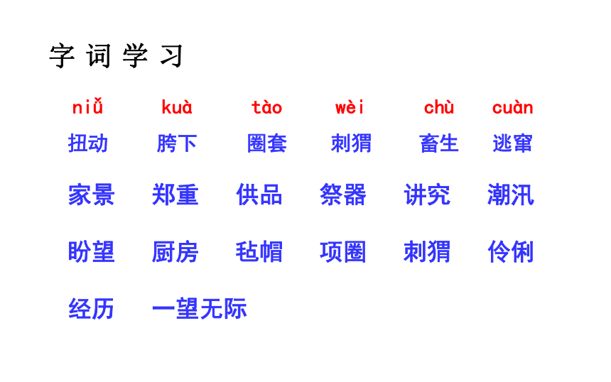 25 少年闰土  课件  两课时 （28张PPT)