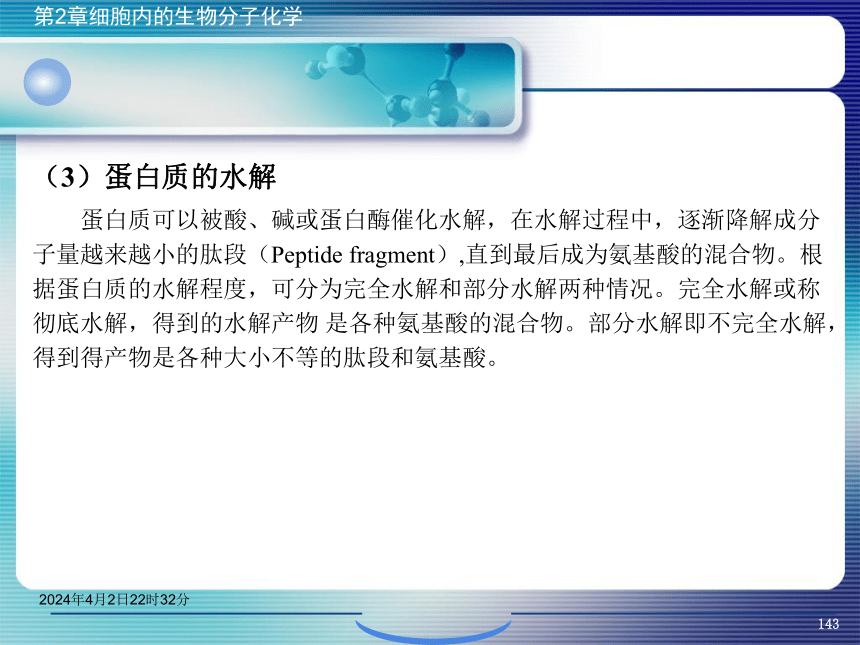 2.4蛋白质化学 课件(共65张PPT)- 《环境生物化学》同步教学（机工版·2020）