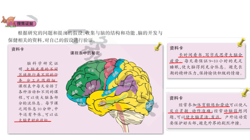 大象版(2017秋)五年级科学上册 2.4 脑的保健 (含练习)课件(共10张PPT)
