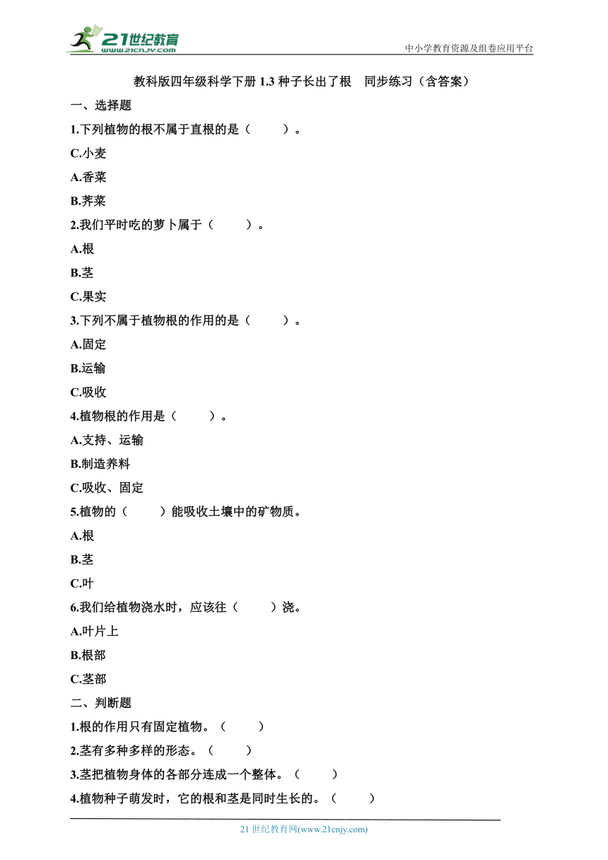 教科版四年级科学下册1.3种子长出了根同步练习(含答案)